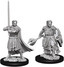Nolzur`s Marvelous Unpainted Miniatures: W8 Male Human Cleric